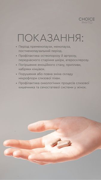ДД М.Пауза 991000171011 фото