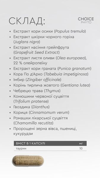 ДД Герміцид 99100259101 фото