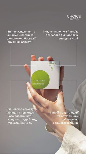 ДД Комфорт 99100013101 фото