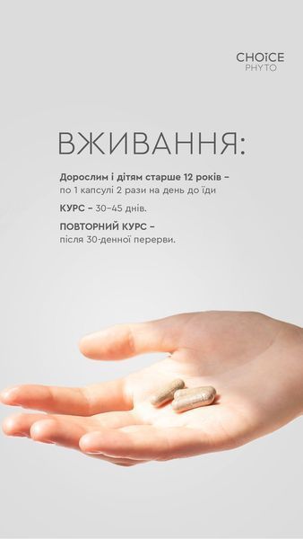 ДД Ритм 99100020101 фото