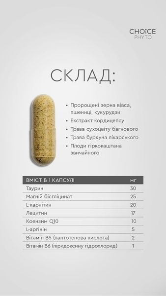 ДД Ритм 99100020101 фото