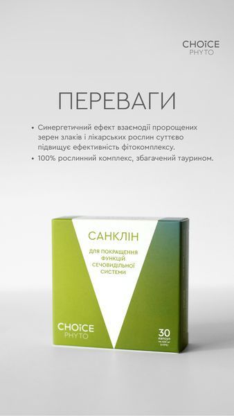 ДД Санклін 99100021101 фото