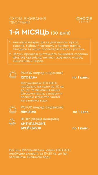 Набір "Універсальна антипаразитарна програма для дорослих" 99100026101 фото